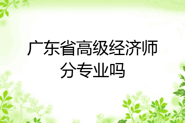 广东省高级经济师分专业吗