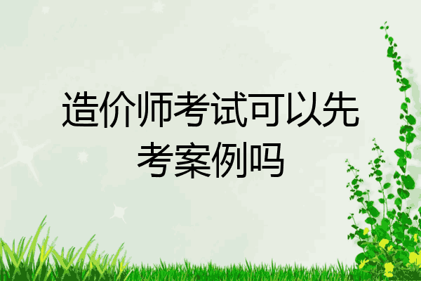 造价师考试可以先考案例吗