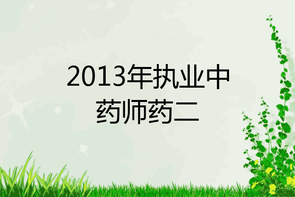 2013年执业中药师药二