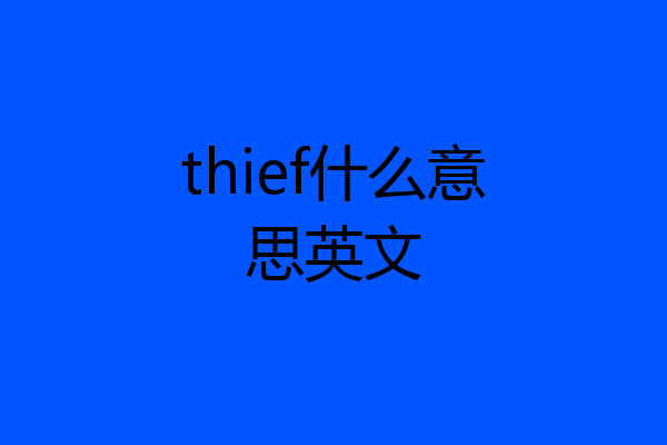 thief什么意思英文