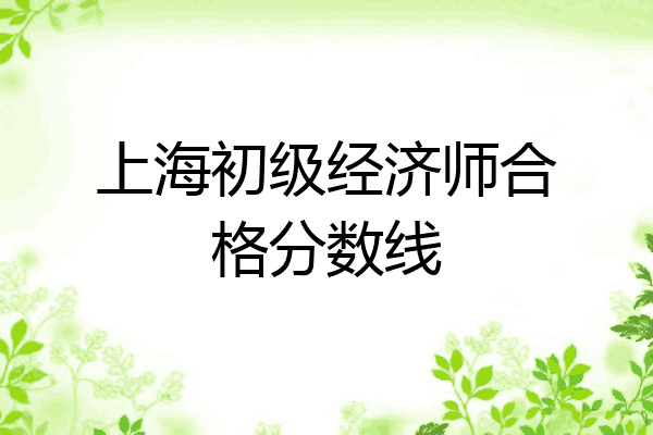 上海初级经济师合格分数线
