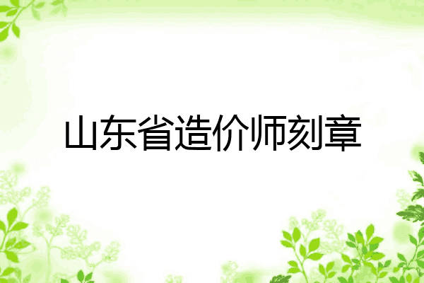 山东省造价师刻章