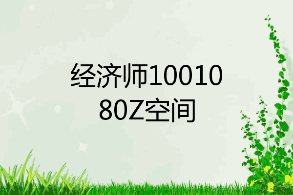 经济师1001080Z空间