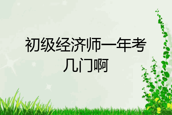 初级经济师一年考几门啊