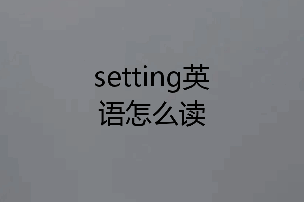 setting英语怎么读