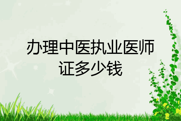 办理中医执业医师证多少钱