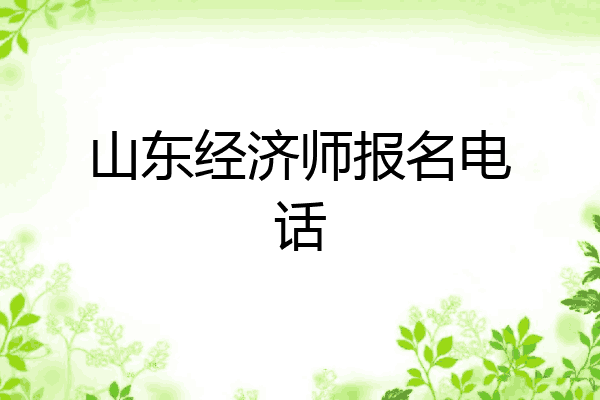 山东经济师报名电话