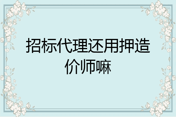 招标代理还用押造价师嘛