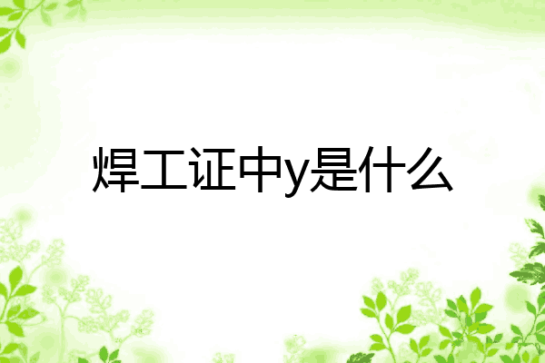 焊工证中y是什么