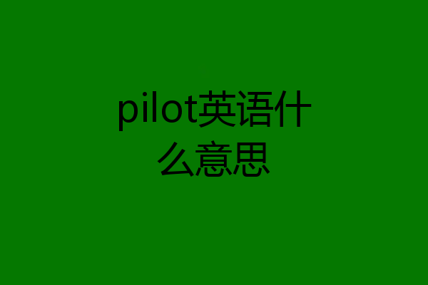 pilot英语什么意思