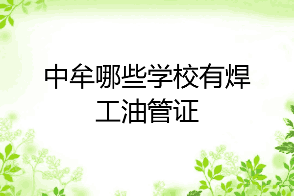 中牟哪些学校有焊工油管证