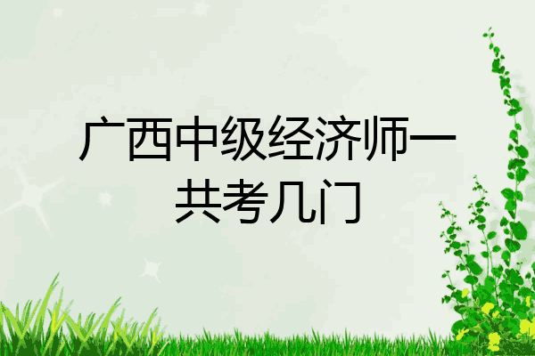 广西中级经济师一共考几门