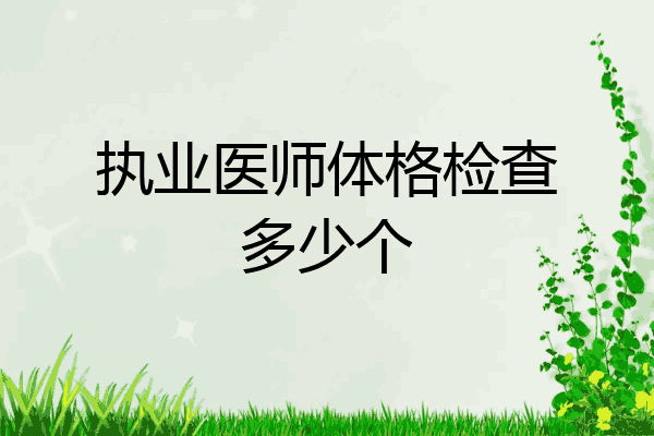 执业医师体格检查多少个