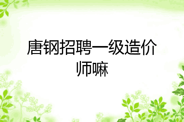 唐钢招聘一级造价师嘛