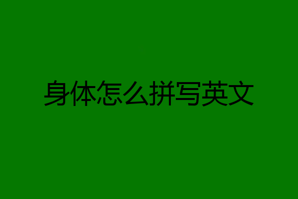 身体怎么拼写英文