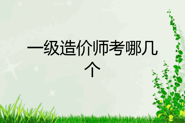 一级造价师考哪几个