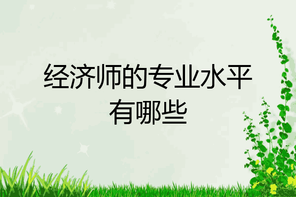 经济师的专业水平有哪些