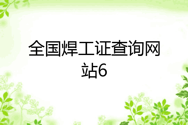 全国焊工证查询网站6