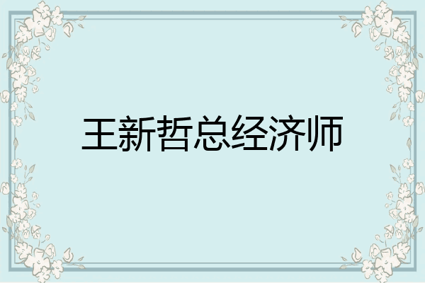 王新哲总经济师