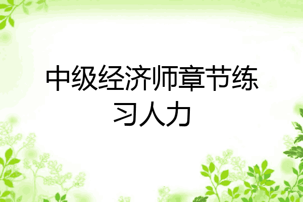 中级经济师章节练习人力