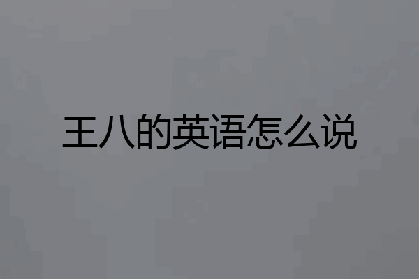 王八的英语怎么说