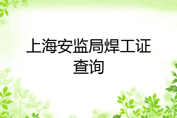 上海安监局焊工证查询