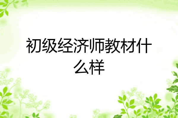 初级经济师教材什么样