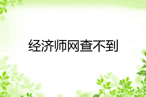 经济师网查不到