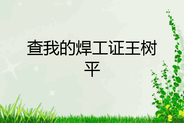 查我的焊工证王树平