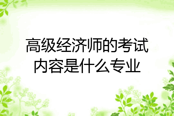 高级经济师的考试内容是什么专业