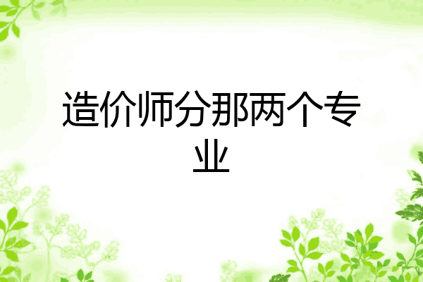 造价师分那两个专业