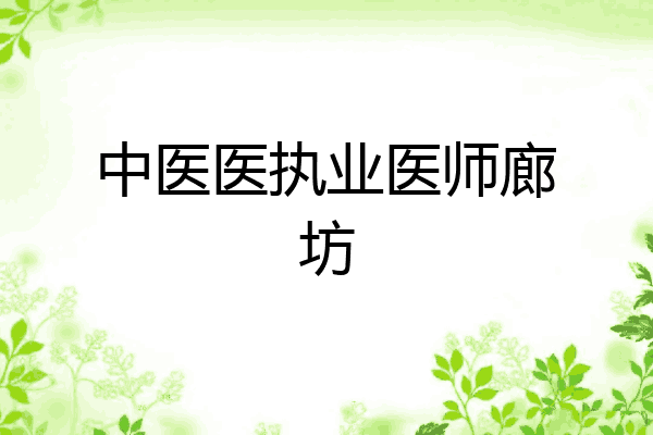 中医医执业医师廊坊
