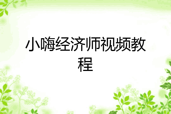小嗨经济师视频教程