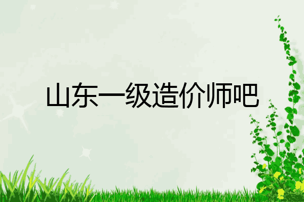 山东一级造价师吧