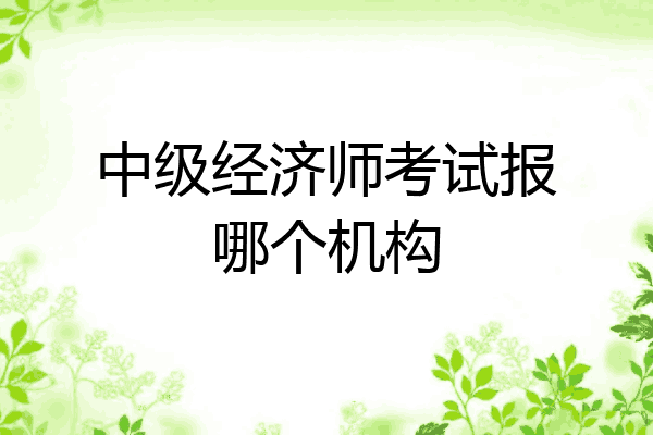 中级经济师考试报哪个机构