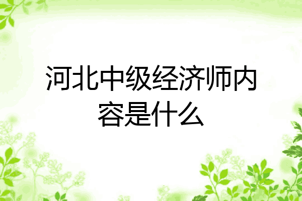 河北中级经济师内容是什么