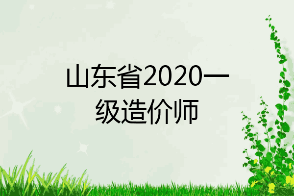 山东省2020一级造价师