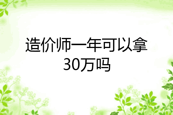 造价师一年可以拿30万吗