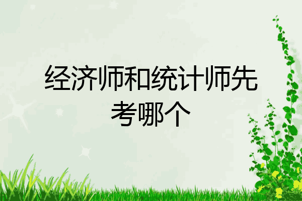 经济师和统计师先考哪个