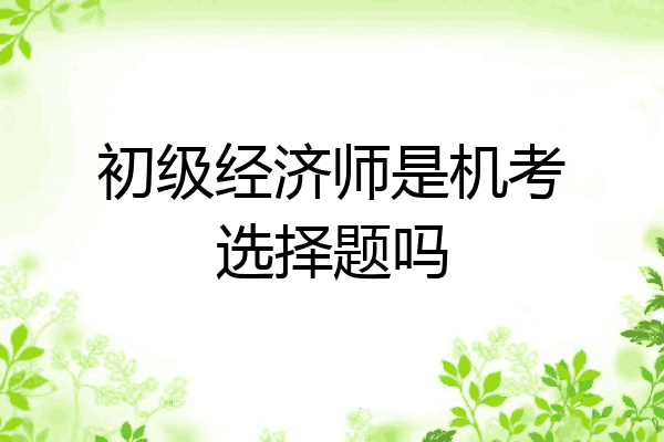 初级经济师是机考选择题吗