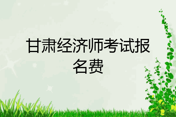 甘肃经济师考试报名费