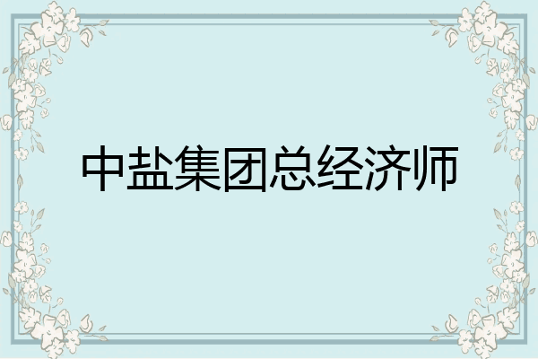 中盐集团总经济师