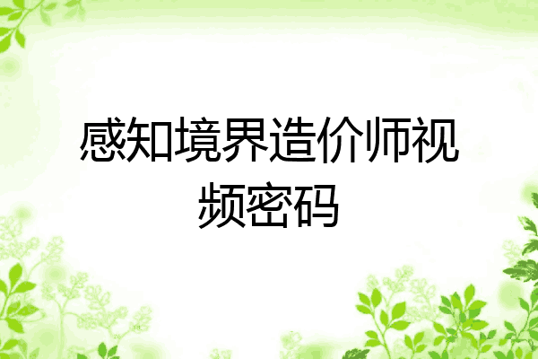 感知境界造价师视频密码