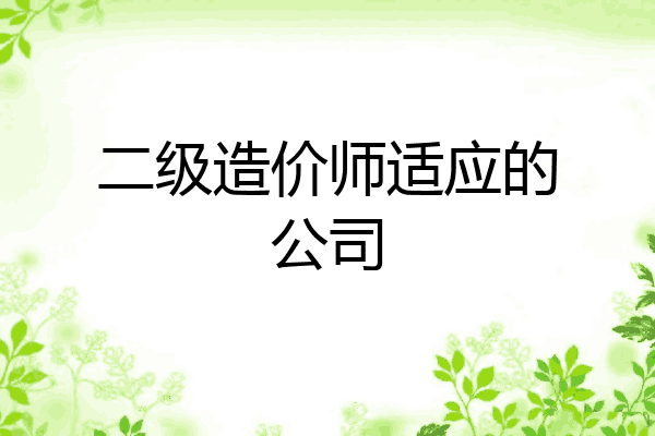 二级造价师适应的公司