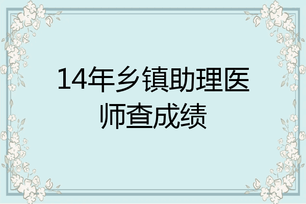 14年乡镇助理医师查成绩