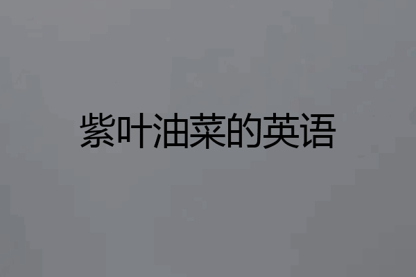 紫叶油菜的英语