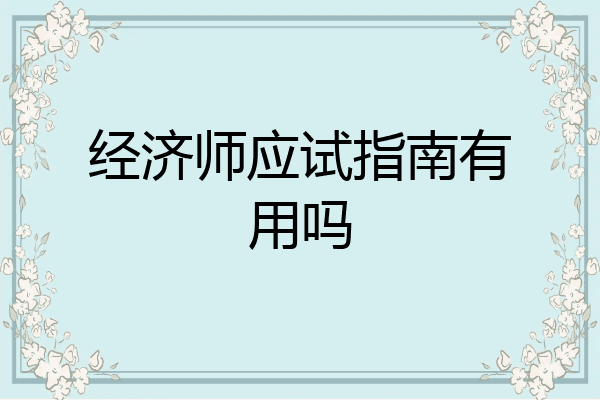 经济师应试指南有用吗
