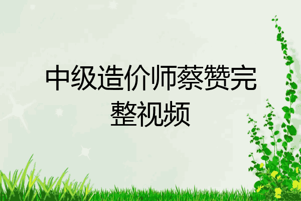 中级造价师蔡赞完整视频