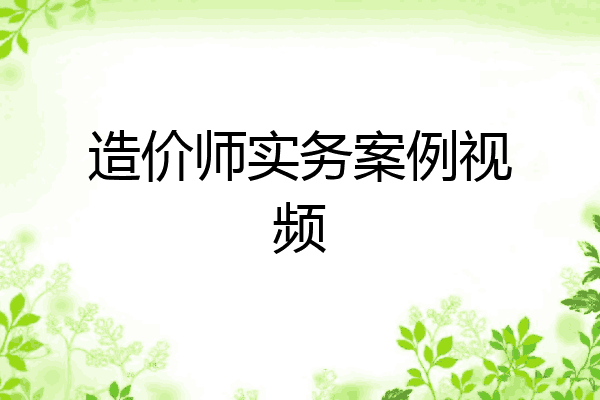 造价师实务案例视频