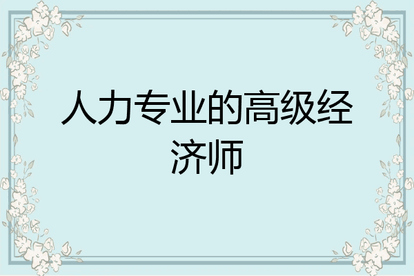 人力专业的高级经济师